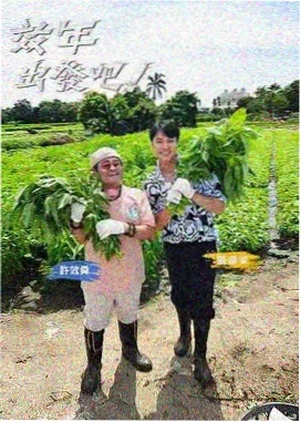 三十七码的拳台迷你封面
